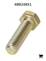 AGCO 400248X1 Болт шестигранный