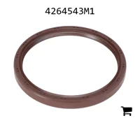 AGCO 4264543M1 Масляный сальник