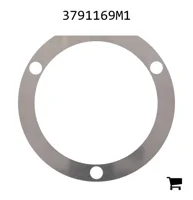 AGCO 3791169M1 Шайба