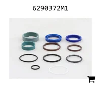 AGCO 6290372M1 Ремкомплект цилиндра подъема стрелы