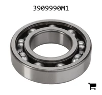 AGCO 3909990M1 Подшипник