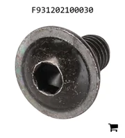 AGCO F931202100030 Винт с плоской головкой