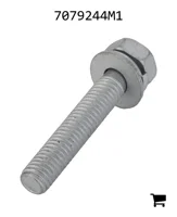 AGCO 7079244M1 Болт