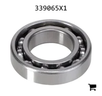 AGCO 339065X1 Цилиндрический шариковый подшипник