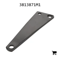 AGCO 3813871M1 Рычаг