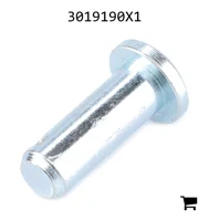 AGCO 3019190X1 Палец вилки