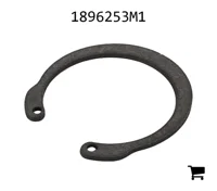 AGCO 1896253M1 Кольцо