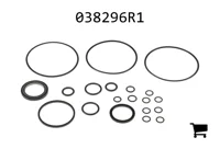 AGCO 038296R1 Ремкомплект