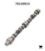 AGCO 70140019 Распредвал