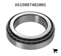 AGCO X619087402001 Конический роликовый подшипник