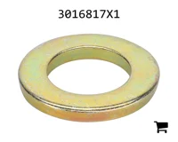 AGCO 3016817X1 Плоская шайба