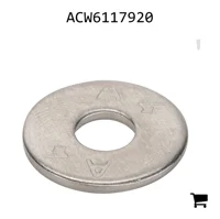 AGCO ACW6117920 Шайба