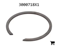 AGCO 3000718X1 Стопорное кольцо