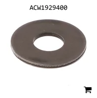 AGCO ACW1929400 Плоская шайба