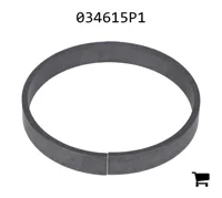 AGCO 034615P1 Кольцо