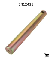 AGCO SN12418 Палец