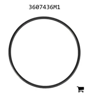 AGCO 3607436M1 Уплотнительное кольцо