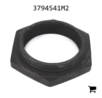 AGCO 3794541M2 Специальная гайка