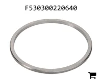 AGCO F530300220640 Шайба