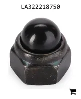 AGCO LA322218750 Гайка