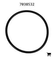 AGCO 7038532 Уплотнительное кольцо