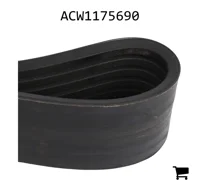 AGCO ACW1175690 Приводной ремень ротора, 6563 мм