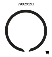 AGCO 70929193 Кольцо