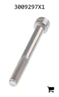 AGCO 3009297X1 Винт с цилиндрической головкой и шестигранным углублением