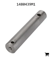 AGCO 1480439M1 Ось