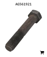 AGCO AG561921 Болт