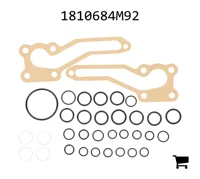 AGCO 1810684M92 Комплект гидравлического подъемного насоса