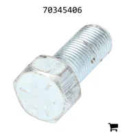 AGCO 70345406 Колесный болт