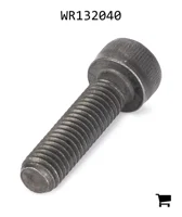 AGCO WR132040 Винт