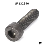 AGCO WR132040 Винт