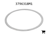 AGCO 3796318M1 Шайба