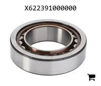 AGCO X622391000000 Цилиндрический роликовый подшипник