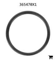 AGCO 365470X1 Уплотнительное кольцо гидравлического фильтра