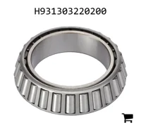 AGCO H931303220200 Конический роликовый подшипник