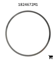 AGCO 1824672M1 Шайба