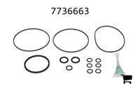 AGCO 7736663 Комплект уплотнений