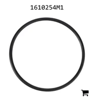 AGCO 1610254M1 Уплотнительное кольцо вала отбора мощности