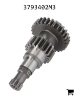 AGCO 3793402M3 Шестерня