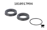 AGCO 1810917M94 Ремонтный комплект уплотнений тормозной системы
