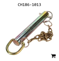 AGCO CH186-1013 Палец