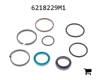 AGCO 6218229M1 Ремкомплект