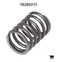 AGCO 70206975 Пружина