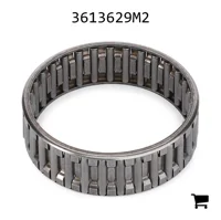 AGCO 3613629M2 Игольчатый подшипник