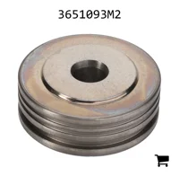 AGCO 3651093M2 Поршень