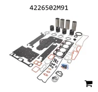 AGCO 4226502M91 Комплект для капитального ремонта двигателя