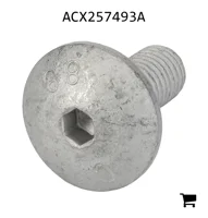 AGCO ACX257493A Винт